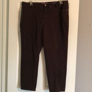Dark brown Gloria Vanderbilt Amanda jeans